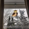 CUSTOM OWLS WINDOW HANGINGS, STAINED GLASS GARDEN DECOR