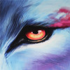 Where Light And Dark Meet 3D Wolf Meet (Free Shipping)
