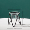 Terrarium Retro Iron Line Vase Hydroponic Plant Flower Vase Home Decoration Metal Plant Holder Nordic Styles Iron Vases Ornament