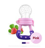 The Fruit Pacifier