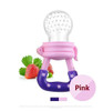 The Fruit Pacifier