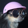 Pet Helmet  Waterproof Riding Cap Protective Outdoor Activity Motorcycle Bike Dog Cat