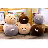 Free Hugs Cat Plush Pillow