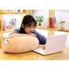 Free Hugs Cat Plush Pillow