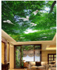 Bamboo ceiling 3D Wallpaper