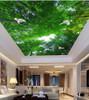 Bamboo ceiling 3D Wallpaper