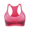 Seamless Padded Sports Bra