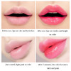 Natural Aloe Vera Green Lipstick Natural Aloe Vera Green Lipstick