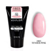 45g VENALISA Poly Gel Kits French Nail Art Clear