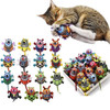 Cat Toys Interactive