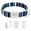 Nylon Dog Collar