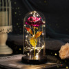Enchanted Forever Rose