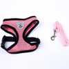 PawPals Adjustable Pet Harness and Leash Set