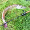 Fishing  Rod  Power Carbon