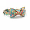 POPPY | LEASH & COLLAR & BOW TIE