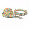 POPPY | LEASH & COLLAR & BOW TIE