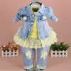 Denim and Lace 3pc