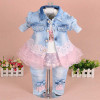 Denim and Lace 3pc