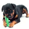 DOG DENTAL CARE TOOTHBRUSH