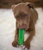 DOG DENTAL CARE TOOTHBRUSH