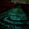 Glow-In-The-Dark Garden Pebbles