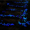 Glow-In-The-Dark Garden Pebbles