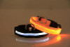 Premium Glow-In-The-Dark LED Safety Collar