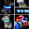 Premium Glow-In-The-Dark LED Safety Collar