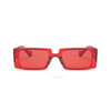 Cassandra Rectangle Sunglasses