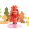 Miracle Growing Christmas Tree