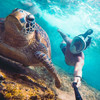 Underwater Snorkel
