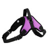 Easy Walk Dog Harness, Collar, and Leash Set