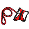 Easy Walk Dog Harness, Collar, and Leash Set