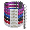Quick-Release Cat Collar with Customized Name Tag and Bell