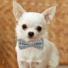 Dog Collar in Tartan Plaid Pattern with Detachable Bow
