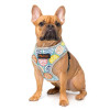 Breathable Dog Vest Harness with Reflective Edge