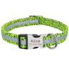 Personalized Dog Collar for Medium and Large Dogs
