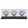 Triple Gold Glove Baseball Display Case