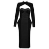 Long Sleeve Velvet Turtleneck Midi Dress
