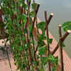 Expandible Faux Ivy Privacy Fence