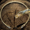 Snake Torc - Brass