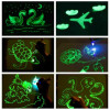 Magic Light Up Pen & Draw Board