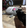 Cat Cave Bed Mouse Shape Cat House With Removable Cushion Waterproof Bottom Cat Cave Bed Mouse Shape Cat House With Removable Cushion Waterproof Bottom