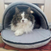 Cat Cave Bed Mouse Shape Cat House With Removable Cushion Waterproof Bottom Cat Cave Bed Mouse Shape Cat House With Removable Cushion Waterproof Bottom