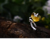 Sterling Silver and Natural Amber Butterfly Ring