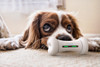 SAINT N MIKE Interactive Toy Bone