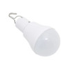 Solar LED Camping Light Bulb