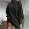 Turtleneck Long Sleeve Sweater Dress Women Autumn Winter Loose Tunic