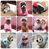 Autumn And Winter Dog Hats For Winter