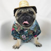 Hawaiian Flower Tropical Shirt For Dogs